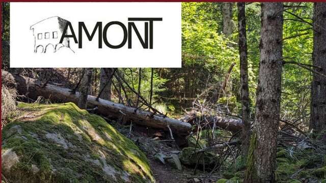 Exposition sur Turini