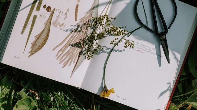 Atelier Altec (6-8 ans) - A la découverte des plantes et des herbiers