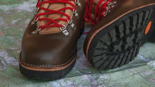 Randonnée pédestre encadrée à l'affut des chamois sur le versant adret du Mont de Grange avec Planet Gliss