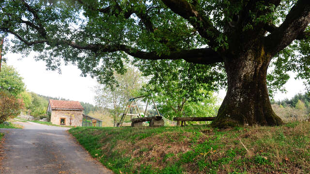 Ferme de la Gilbernie