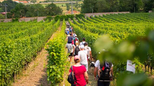 Balade Gourmande en Côte Roannaise