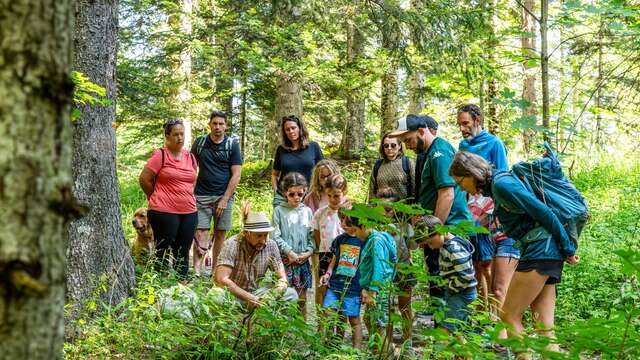 Les petits explorateurs et les légendes de la Fontaine de l'Ours
