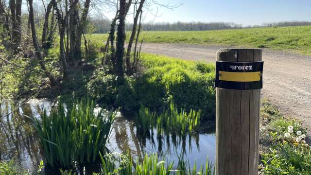 Sentier  Les étangs
