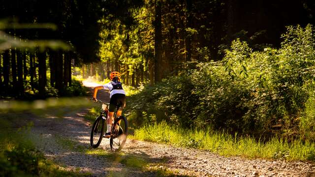 N° 12 - Les fruits rouges - Espace VTT-FFC Massif des Bois Noirs