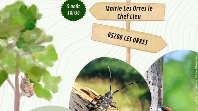 Conférence : L'arbre habitat pour une biodiversité garante de la santé des forêts