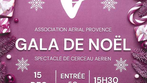 Gala de Noël - Spectacle de cerceau aérien