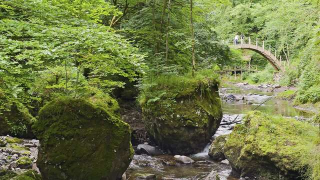 Sentier de découverte des Gorges de la Jordanne - Réouverture le 13 mai 2026