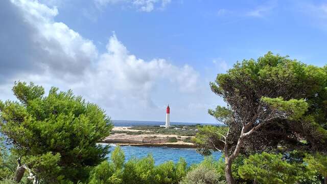 Cap Couronne Leuchtturm