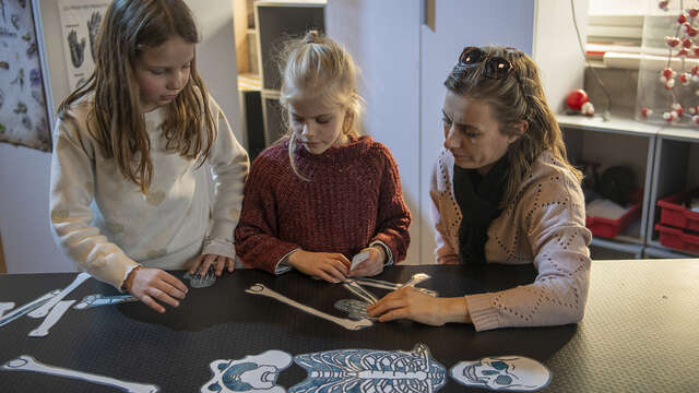 Atelier : Les secrets du corps humain