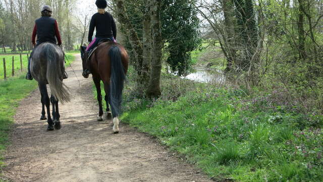 The White and the Black (northern loop)