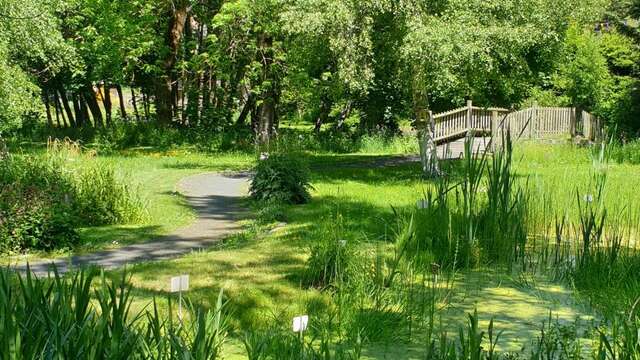 Découverte du Jardin botanique