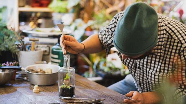 Folie(s) Végétales 2026 - Atelier création d'un terrarium