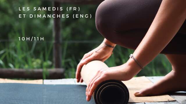 Yoga Hatha des Éléments avec Emine