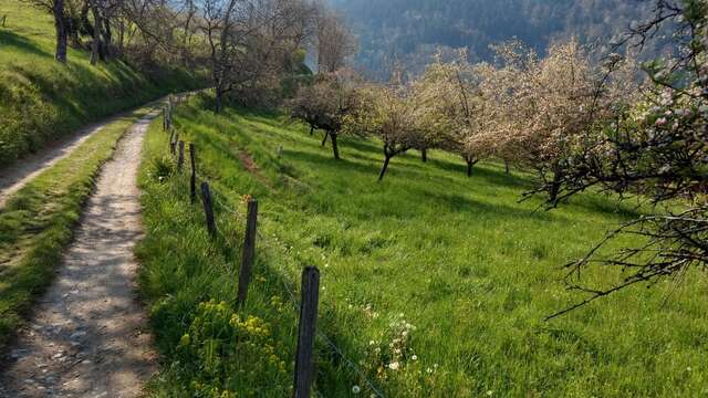 Bel'Vélec - Laval - Belledonne beek