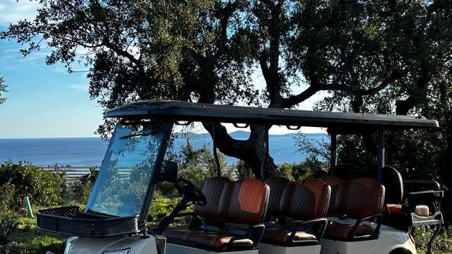 Sinneserweckung im Château Galoupet