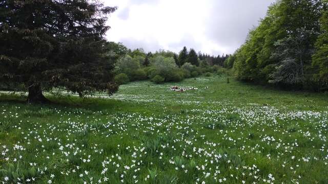 Sortie nature au Plateau de Retord