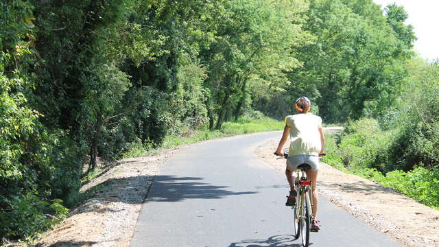 Canoë Loire Aventure - Location de Vélo / VTT
