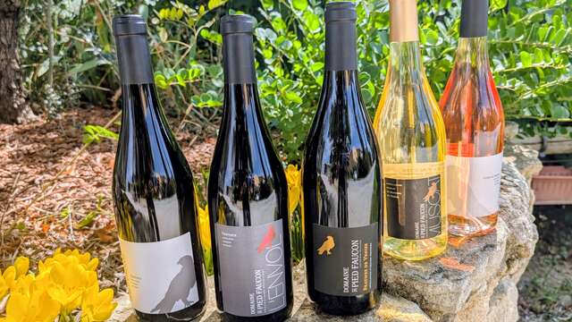 Domaine viticole Pied Faucon