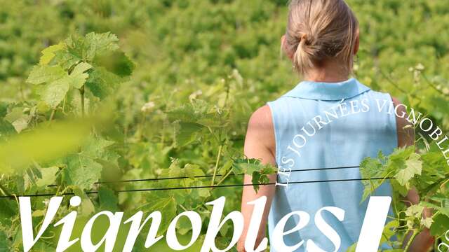 Balade dans les vignes