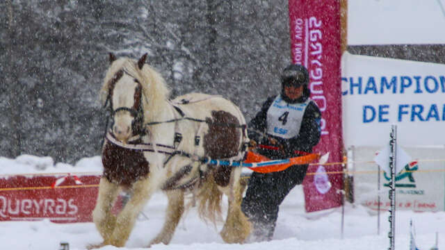 French Ski Joëring Championship