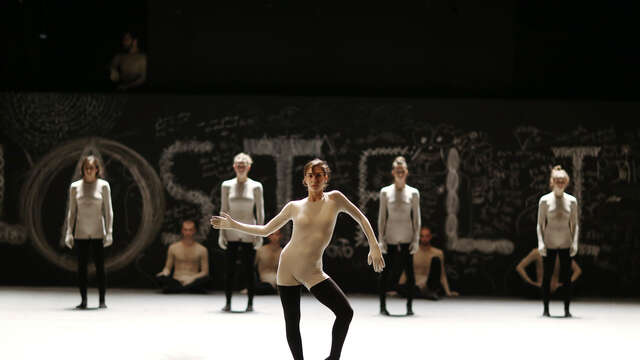 Danse - Batsheva Dance Company « Naharin's Virus »