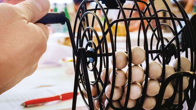 Lotos du mois de février 2026