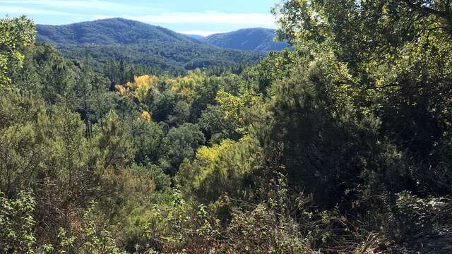 Promenade  Ancienne mine de Garrot et aqueduc romain - Montauroux