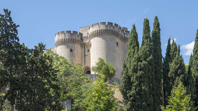 Fort Saint-André