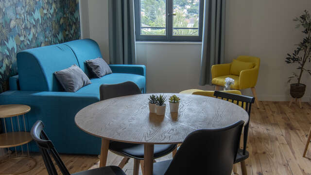 Meublé Puy de Laschamp - 204