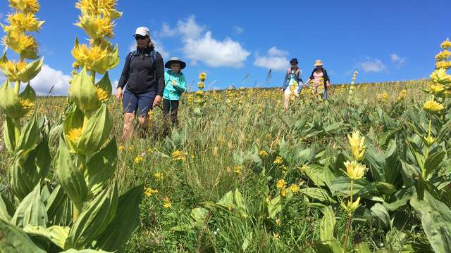 Pyrenees Excursions