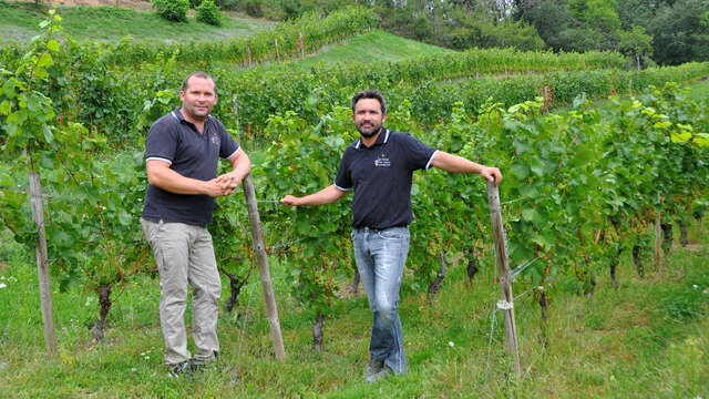 Le Retour aux Sources - Edgar et Marc-Antoine Pluchot