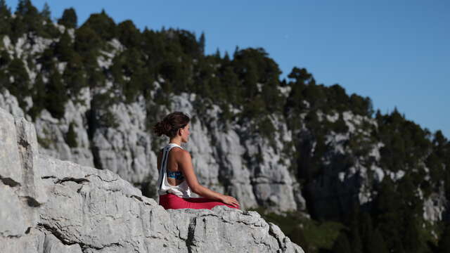 Cours de Yoga Vinyasa et Yin Yoga avec Lise