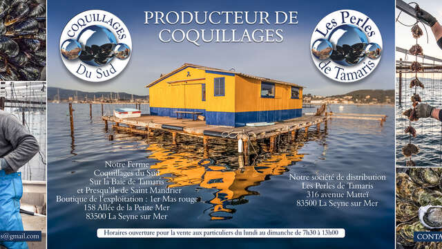 Coquillages du Sud, Les Perles de Tamaris