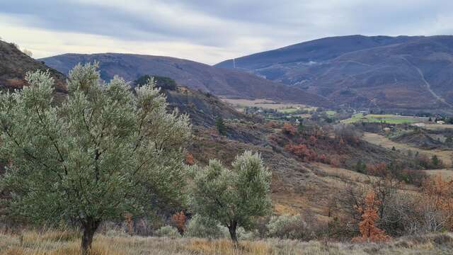 Balade provençale sur les pas de Paul Arène