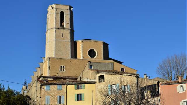 Collégiale Saint Martin