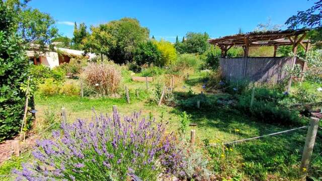 Gemüsegarten-Workshop - Blumen und Kräuter