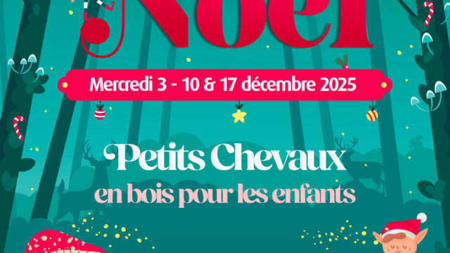 Balade en petits chevaux en bois "Sulky"