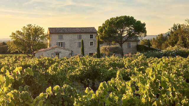 Le Cottage du Chat Blanc