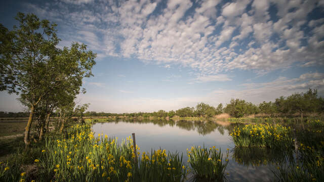 Les sentiers de l'Etourneau