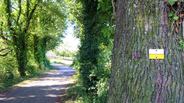 Sentier Les baladins
