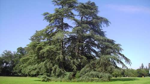 Parc de la Guyonnière