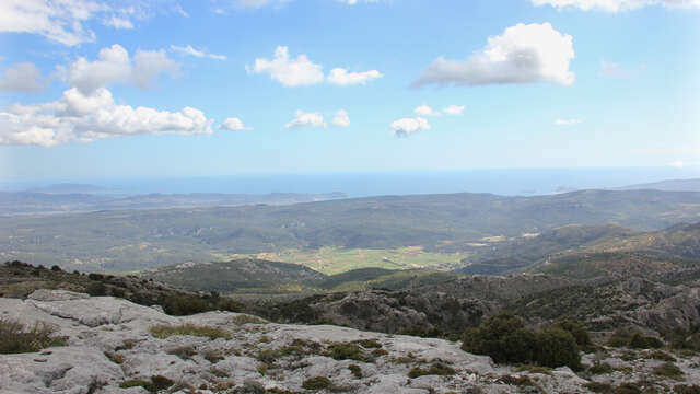 Versant sud Sainte-Baume  - Journée