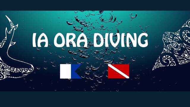Ia Ora Diving - Sortie Baleines