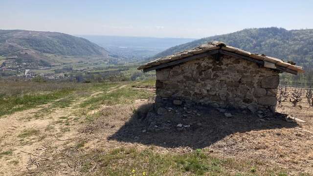 La vallée du Torrenson