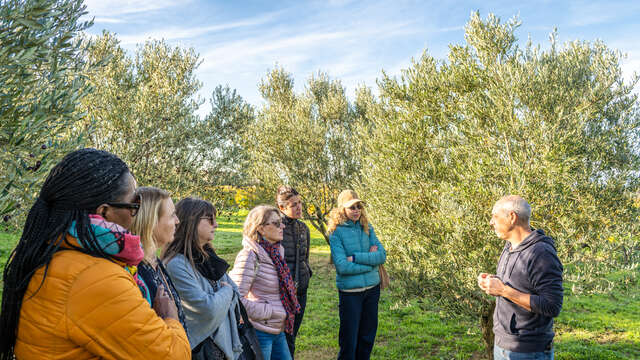 Olive oil tasting at "Les 3 Souquets" store
