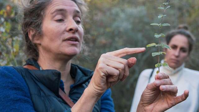 Rencontre autour du livre "Le Temps du végétal" - Festival Confit !