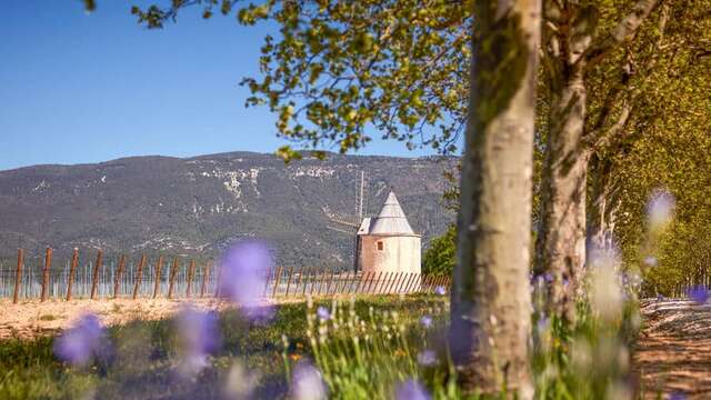 Les Sunsets Vignerons en Luberon au Château de Sannes