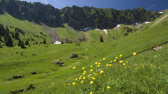 Hike to the Graydon mountain pasture