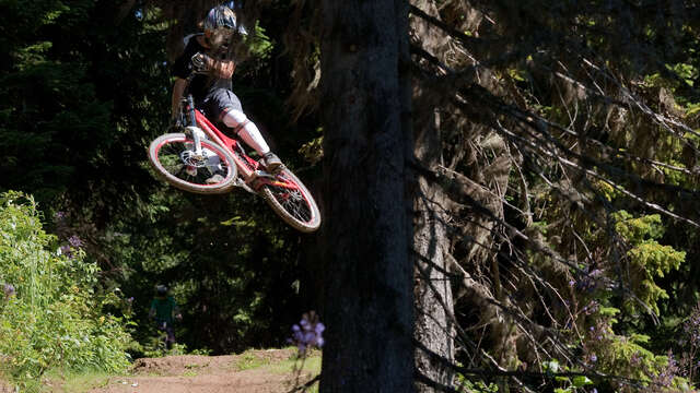 Downhill MTB - La Cuberote