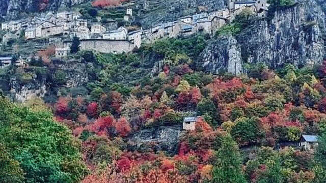 Gîte Les Chardons